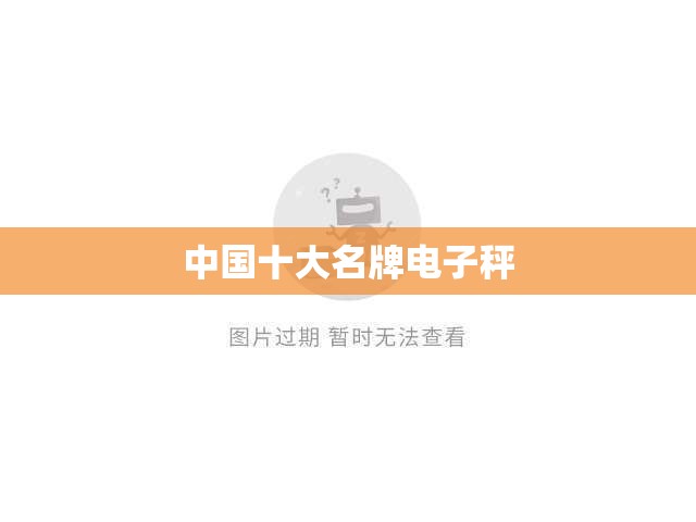 中国十大名牌电子秤
