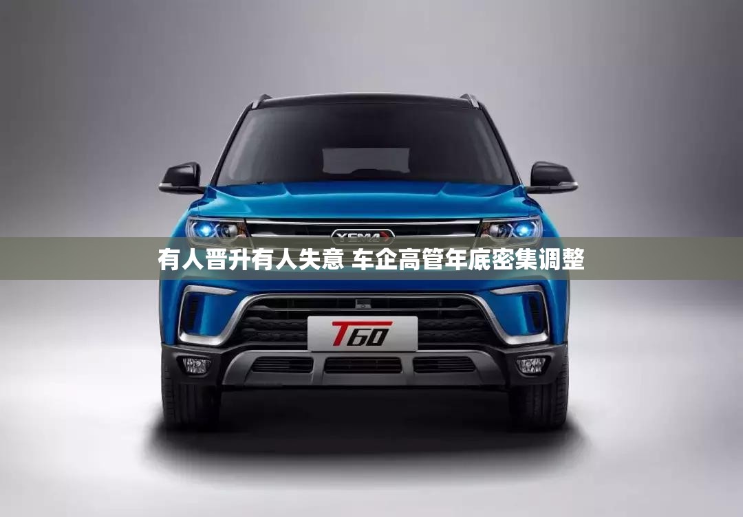 安装程序教程“口袋十三水打法技巧”详细辅助教程分享