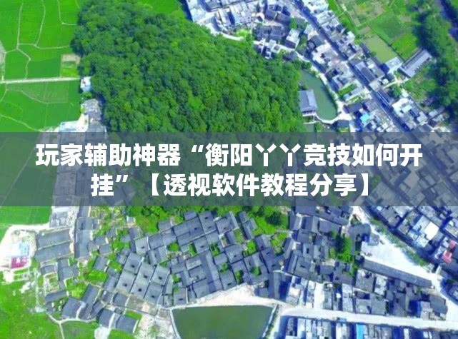 玩家辅助神器“衡阳丫丫竞技如何开挂	”【透视软件教程分享】
