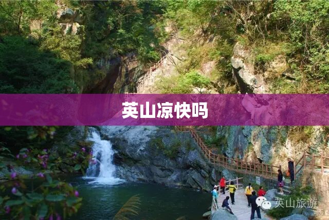 玩家辅助神器“闲逸斗地主透视软件”通用版下载教程