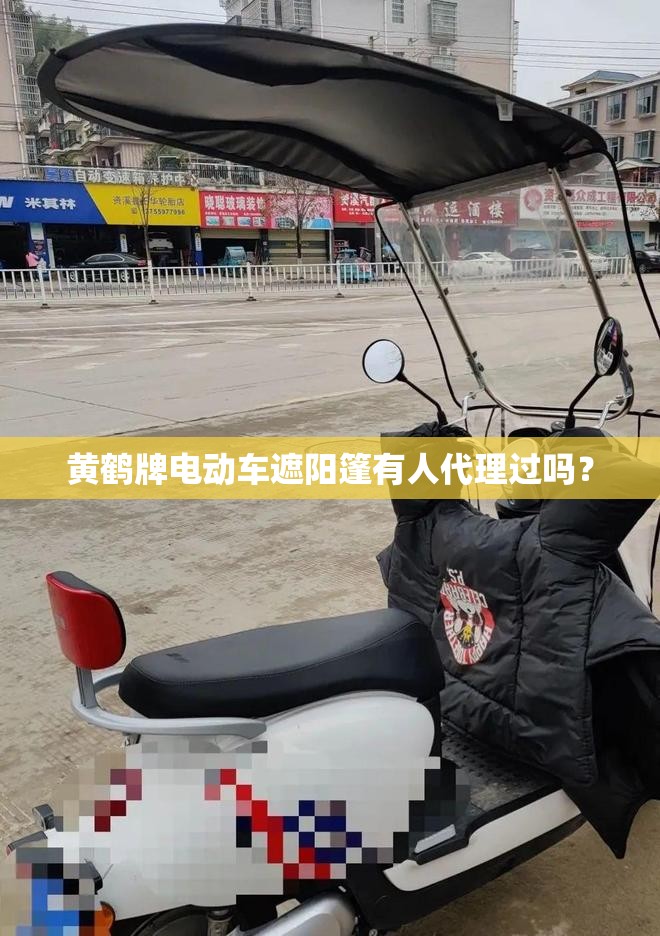 黄鹤牌电动车遮阳篷有人代理过吗？