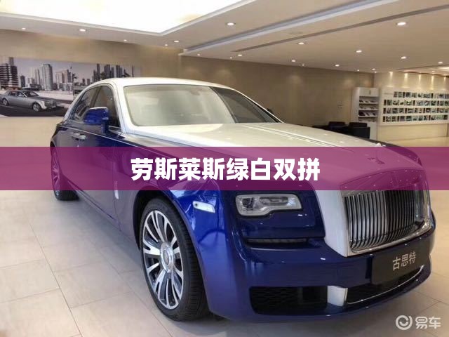 迈巴赫商务车-迈巴赫商务车7座报价多少钱？