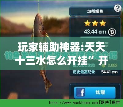 辅助教程分享“来趣广西麻将十三张挂”详细透视教程