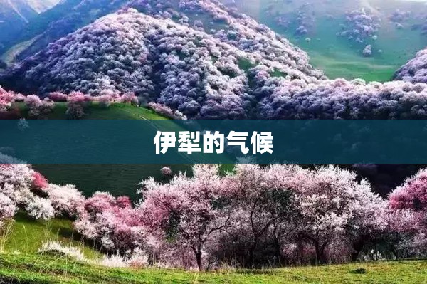 优化配置 提升品质 实拍上汽大通T70澳洲版