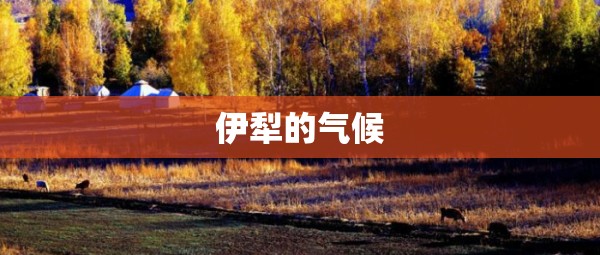伊犁的气候 伊犁的气候