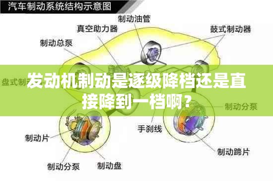 玩家辅助神器“哈糖大菠萝出分规律”详细辅助软件教程