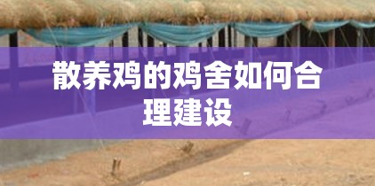 科普一下同城跑胡子有没有挂”【透视软件教程分享】