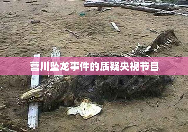 营川坠龙事件的质疑央视节目 营川坠龙事件的质疑央视节目