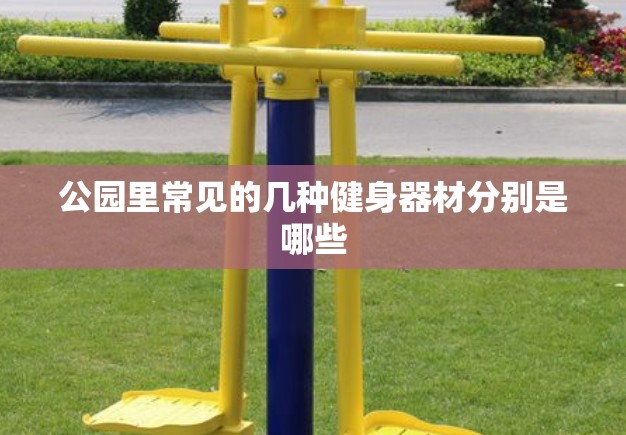 公园里常见的几种健身器材分别是哪些