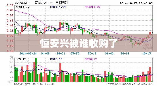 恒安兴被谁收购了