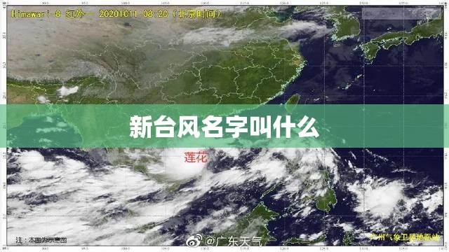 新台风名字叫什么