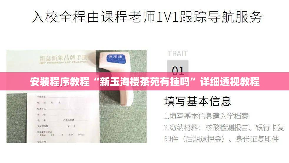 安装程序教程“新玉海楼茶苑有挂吗”详细透视教程