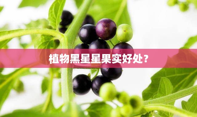 玩家辅助神器“牵手跑胡子有挂吗”开挂辅助透视教程