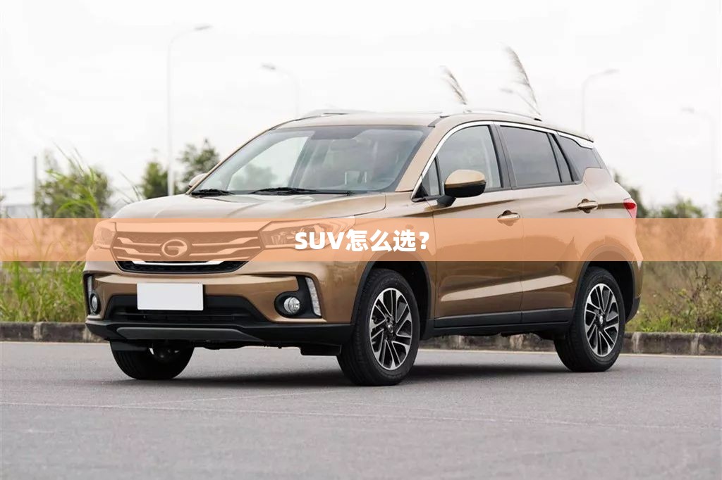 SUV怎么选？