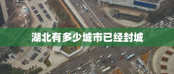湖北有多少城市已经封城