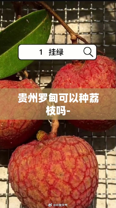 玩家辅助神器“荔枝竞技开挂真实案例”通用版下载教程