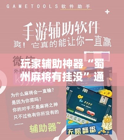 玩家辅助神器“蜀州麻将有挂没	”通用版下载教程