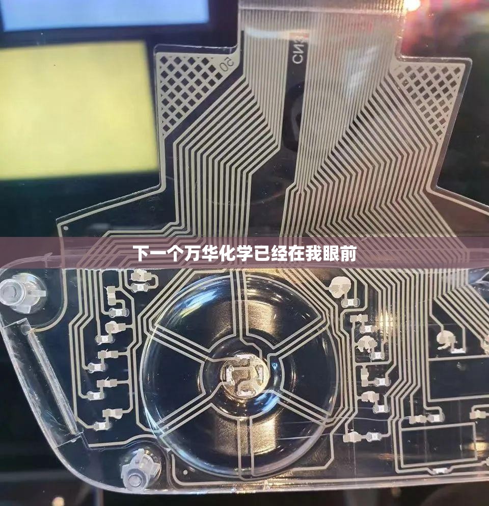 辅助教程分享“玉海楼茶苑怎么拿好牌”全程揭秘开挂教程